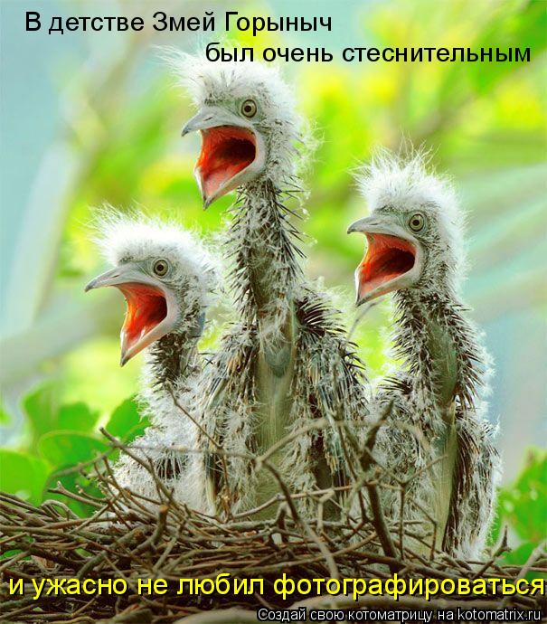 В детстве Змей Горыныч был очень стеснительным и ужасно не любил фотографироваться.... Котоматрица: В детстве Змей Горыныч был очень стеснительным и ужасно не любил фотографироваться.