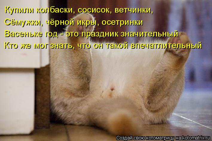 Купили колбаски, сосисок, ветчинки, Сёмужки, чёрной икры, осетринки Васеньке год - это праздник значи... Котоматрица: Купили колбаски, сосисок, ветчинки, Сёмужки, чёрной икры, осетринки Васеньке год - это праздник значительный Кто же мог знать, что он такой в