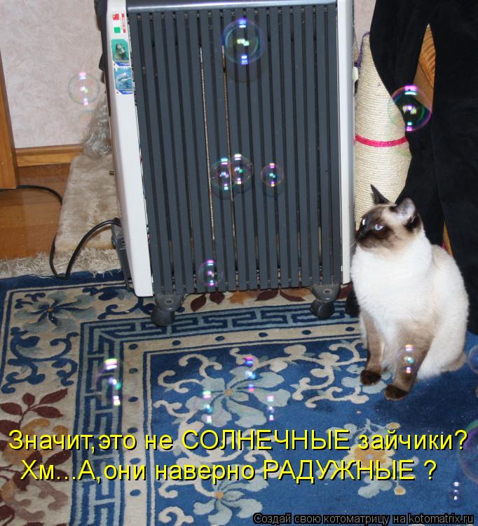 Хм...А,они наверно РАДУЖНЫЕ ? Значит,это не СОЛНЕЧНЫЕ зайчики?... Котоматрица: Хм...А,они наверно РАДУЖНЫЕ ? Значит,это не СОЛНЕЧНЫЕ зайчики?