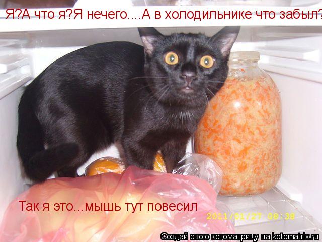Я?А что я?Я нечего....А в холодильнике что забыл?Так я это...мышь тут повесил Так я это...мышь тут по... Котоматрица: Я?А что я?Я нечего....А в холодильнике что забыл?Так я это...мышь тут повесил Так я это...мышь тут повесил