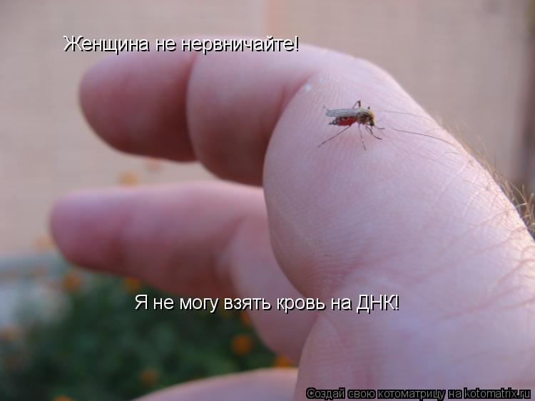 Женщина не нервничайте! Я не могу взять кровь на ДНК!... Котоматрица: Женщина не нервничайте! Я не могу взять кровь на ДНК!