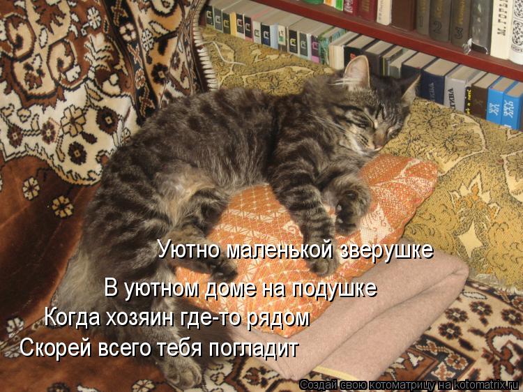 Уютно маленькой зверушке В уютном доме на подушке Когда хозяин где-то рядом Скорей всего тебя поглади... Котоматрица: Уютно маленькой зверушке В уютном доме на подушке Когда хозяин где-то рядом Скорей всего тебя погладит