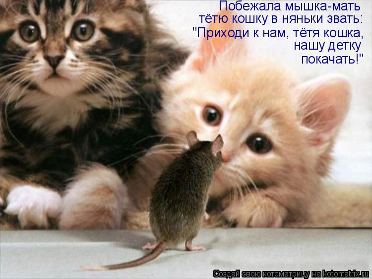 Побежала мышка-мать тётю кошку в няньки звать: "Приходи к нам, тётя кошка, нашу детку покачать!"... Котоматрица: Побежала мышка-мать тётю кошку в няньки звать: "Приходи к нам, тётя кошка, нашу детку покачать!"