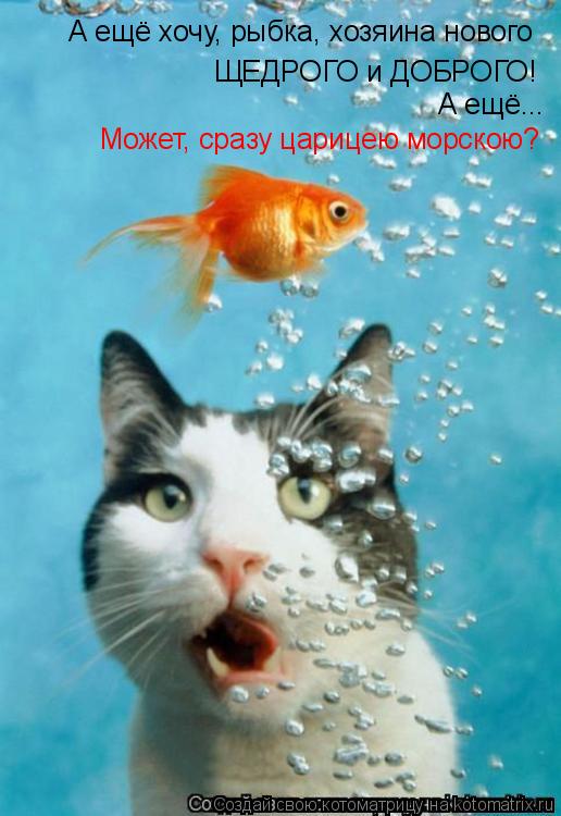 А ещё хочу, рыбка, хозяина нового ЩЕДРОГО и ДОБРОГО! А ещё... Может, сразу царицею морскою?... Котоматрица: А ещё хочу, рыбка, хозяина нового ЩЕДРОГО и ДОБРОГО! А ещё... Может, сразу царицею морскою?