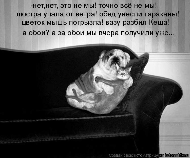 -нет,нет, это не мы! точно всё не мы! люстра упала от ветра! обед унесли тараканы! цветок мышь погрыз... Котоматрица: -нет,нет, это не мы! точно всё не мы! люстра упала от ветра! обед унесли тараканы! цветок мышь погрызла! вазу разбил Кеша! а обои? а за обои мы вч