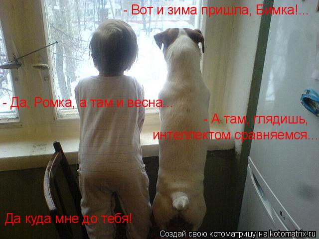 - Вот и зима пришла, Бимка!... - Да, Ромка, а там и весна... - А там, глядишь, интеллектом сравняемс... Котоматрица: - Вот и зима пришла, Бимка!... - Да, Ромка, а там и весна... - А там, глядишь, интеллектом сравняемся... Да куда мне до тебя!