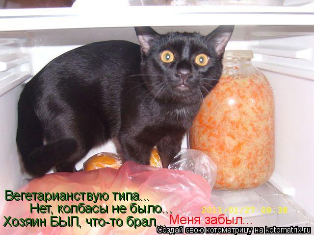 Вегетарианствую типа... Нет, колбасы не было... Хозяин БЫЛ, что-то брал... Меня забыл...... Котоматрица: Вегетарианствую типа... Нет, колбасы не было... Хозяин БЫЛ, что-то брал... Меня забыл...