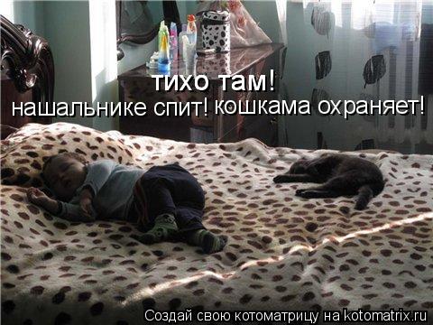 тихо там! нашальнике спит! тихо там! тихо там! кошкама охраняет!... Котоматрица: тихо там! нашальнике спит! тихо там! тихо там! кошкама охраняет!