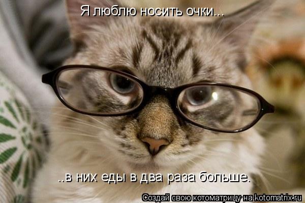 Я люблю носить очки... ..в них еды в два раза больше.... Котоматрица: Я люблю носить очки... ..в них еды в два раза больше.