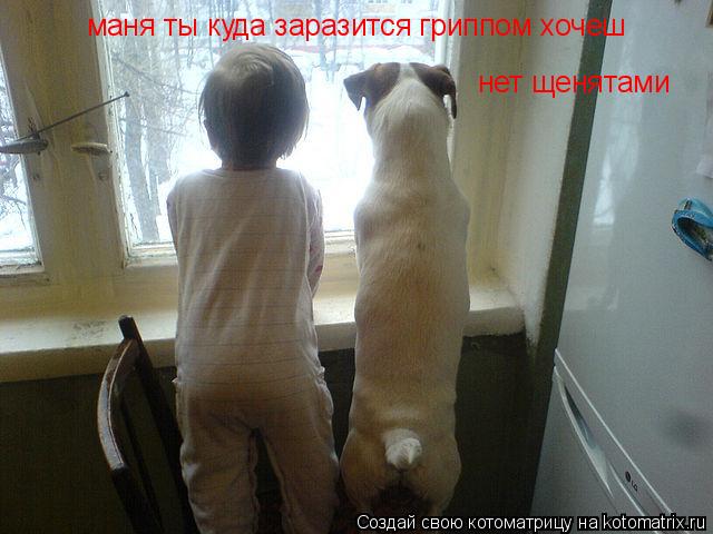 маня ты куда заразится гриппом хочеш нет щенятами... Котоматрица: маня ты куда заразится гриппом хочеш нет щенятами