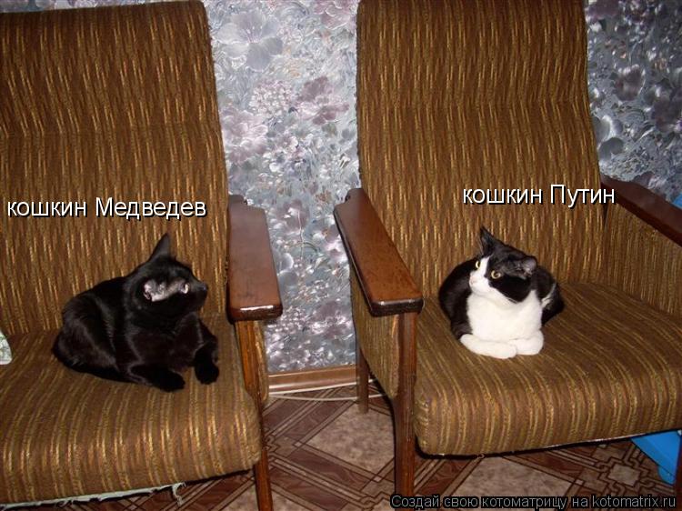кошкин Путин кошкин Медведев... Котоматрица: кошкин Путин кошкин Медведев