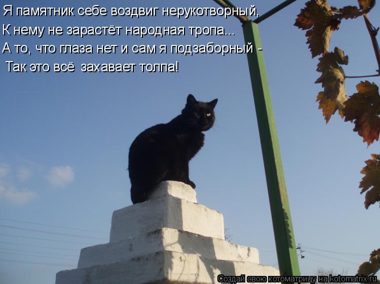 Я памятник себе воздвиг нерукотворный, К нему не зарастёт народная тропа... А то, что глаза нет и сам... Котоматрица: Я памятник себе воздвиг нерукотворный, К нему не зарастёт народная тропа... А то, что глаза нет и сам я подзаборный - Так это всё захавает тол