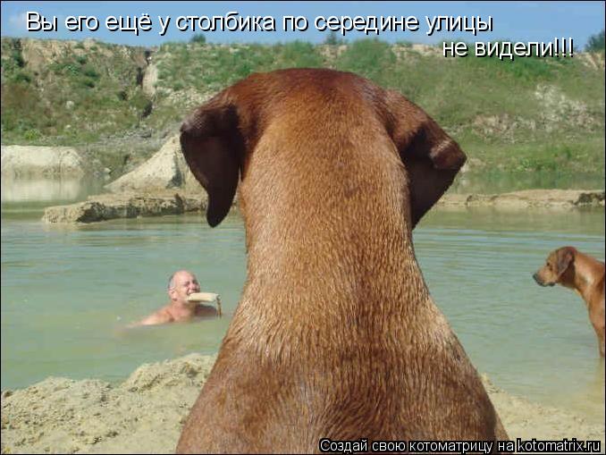 Котоматрица: Вы его ещё у столбика по середине улицы  не видели!!!