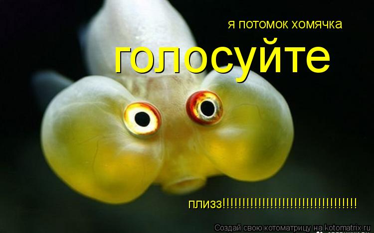 Котоматрица: я потомок хомячка голосуйте плизз!!!!!!!!!!!!!!!!!!!!!!!!!!!!!!!!!!