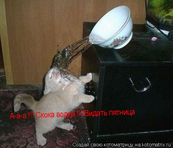 Котоматрица: А-а-а !!! Скока водки !!! Видать пятница