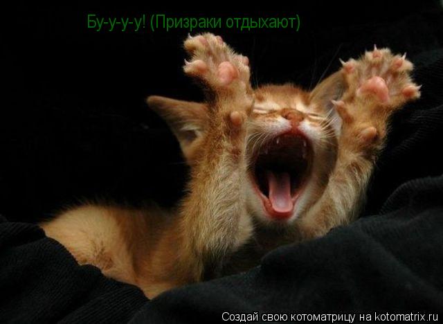 Котоматрица: Бу-у-у-у! (Призраки отдыхают)