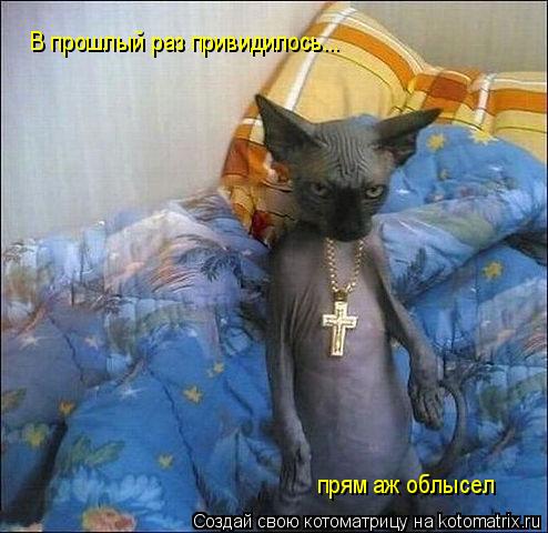 Котоматрица: В прошлый раз привидилось... прям аж облысел