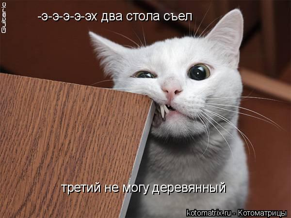 Котоматрица: -э-э-э-э-эх два стола съел третий не могу деревянный