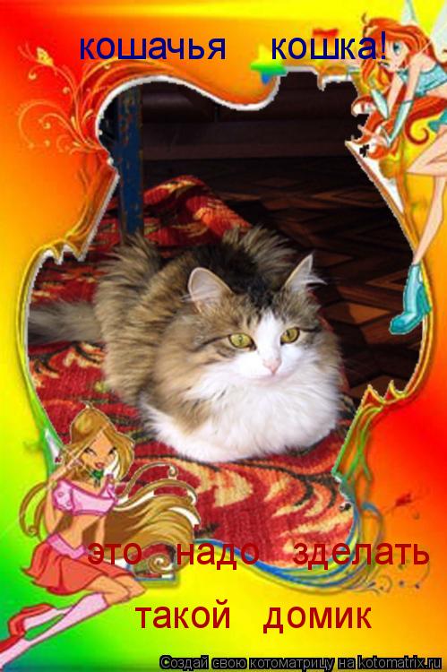 Котоматрица: кошачья    кошка! это   надо   зделать такой   домик