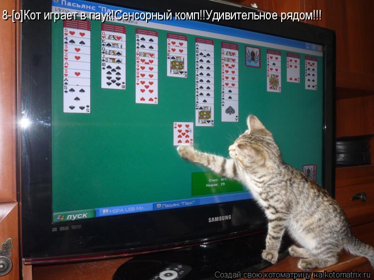 Котоматрица: 8-[o]Кот играет в паук!Сенсорный комп!!Удивительное рядом!!!