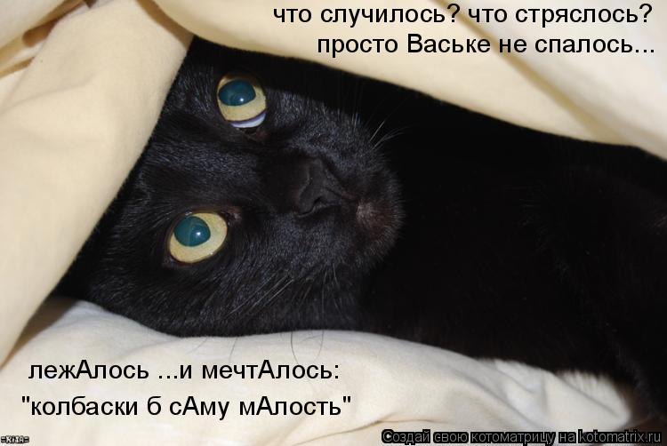 что случилось? что стряслось? просто Ваське не спалось... "колбаски б сАму мАлость" лежАлось ...и меч... Котоматрица: что случилось? что стряслось? просто Ваське не спалось... "колбаски б сАму мАлость" лежАлось ...и мечтАлось: