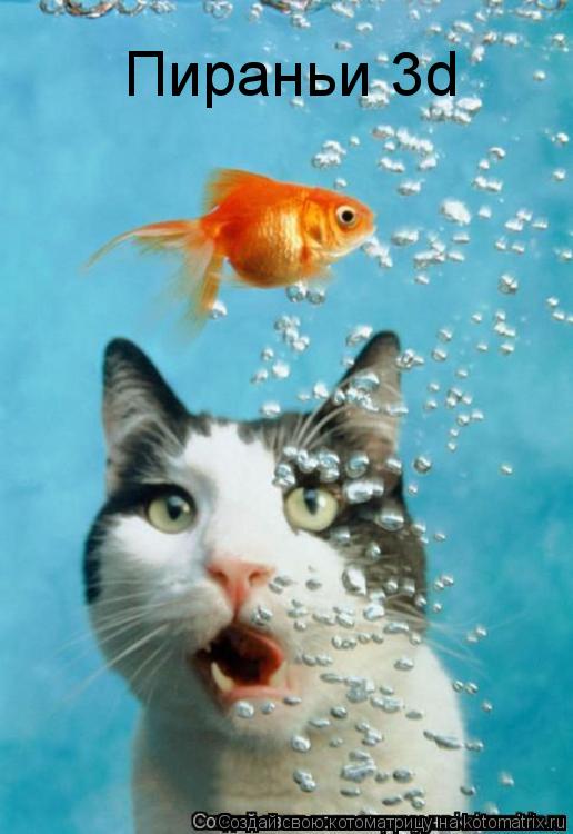 Пираньи 3d... Котоматрица: Пираньи 3d