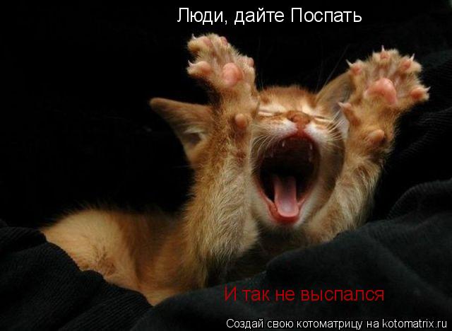 Люди, дайте Поспать И так не выспался... Котоматрица: Люди, дайте Поспать И так не выспался