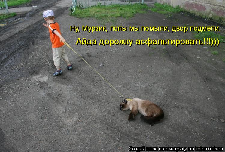 Ну, Мурзик, полы мы помыли, двор подмели. Айда дорожку асфальтировать!!!)))... Котоматрица: Ну, Мурзик, полы мы помыли, двор подмели. Айда дорожку асфальтировать!!!)))