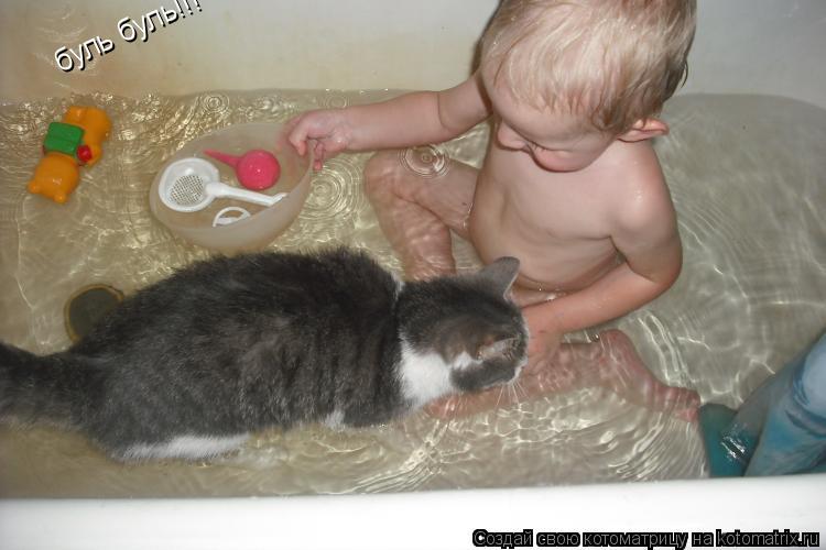 буль буль!!!... Котоматрица: буль буль!!!