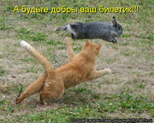 А будьте добры ваш билетик!!!... Котоматрица: А будьте добры ваш билетик!!!