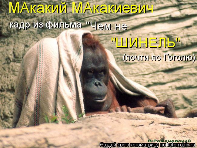 Котоматрица: МАкакий МАкакиевич кадр из фильма "Чем не  "ШИНЕЛЬ"  (почти по Гоголю)