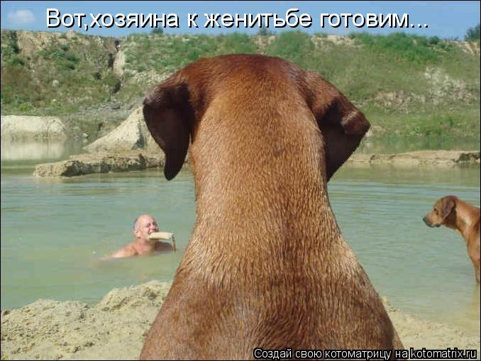 Котоматрица: Вот,хозяина к женитьбе готовим...