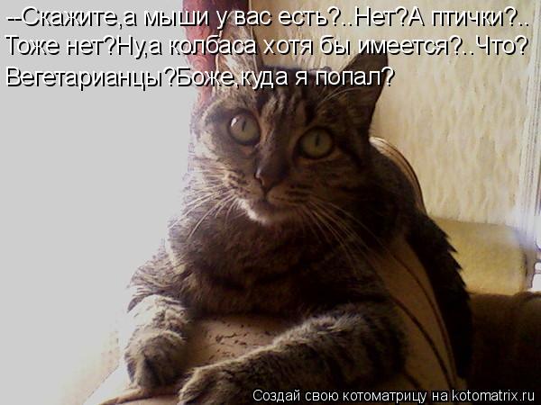 Котоматрица: --Скажите,а мыши у вас есть?..Нет?А птички?.. Тоже нет?Ну,а колбаса хотя бы имеется?..Что? Вегетарианцы?Боже,куда я попал?