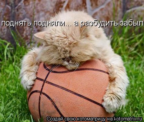 поднять подняли... а разбудить забыли!... Котоматрица: поднять подняли... а разбудить забыли!