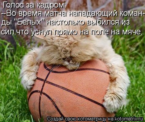 Котоматрица: Голос за кадром: --Во время матча нападающий коман- ды "Белых" настолько выбился из  сил,что уснул прямо на поле на мяче.