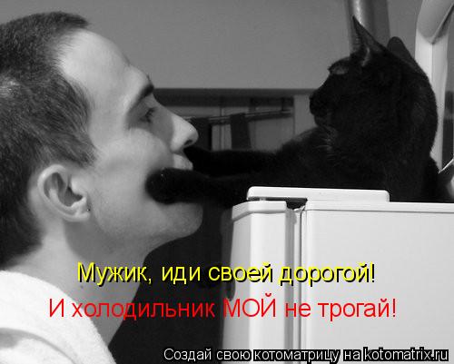 Котоматрица: Мужик, иди своей дорогой! И холодильник МОЙ не трогай!