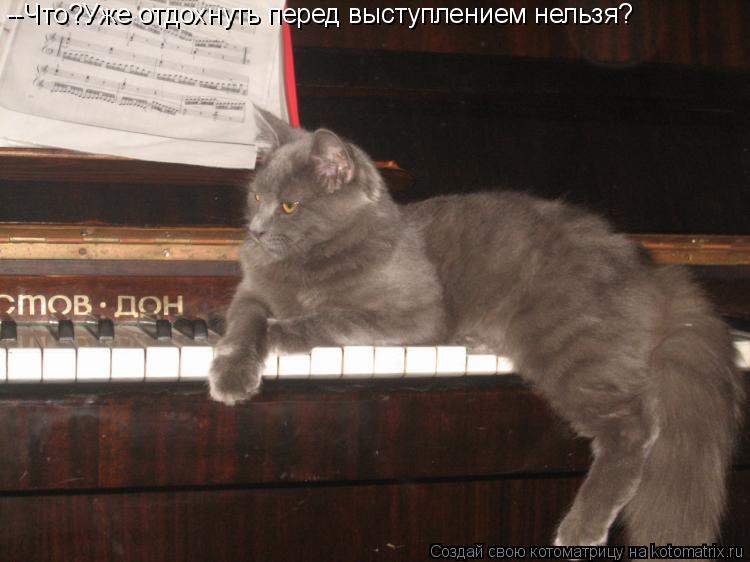 Котоматрица: --Что?Уже отдохнуть перед выступлением нельзя?
