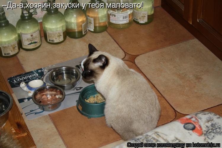 Котоматрица: --Да-а,хозяин,закуски у тебя маловато!