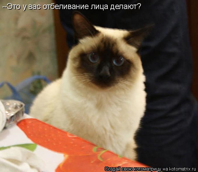 Котоматрица: --Это у вас отбеливание лица делают?
