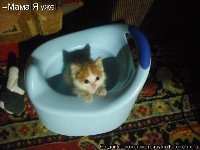 Котоматрица: --Мама!Я уже!