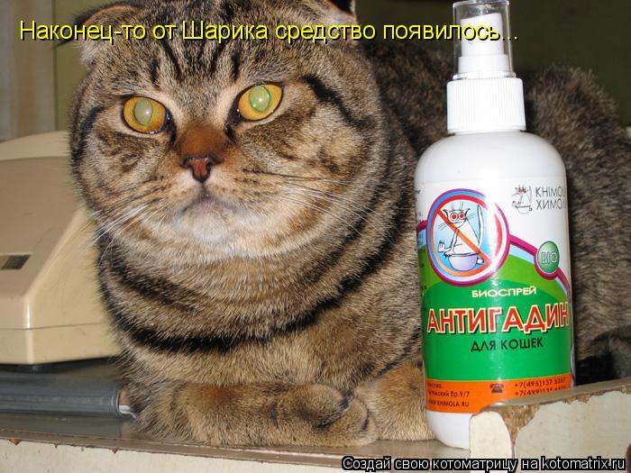 Котоматрица: Наконец-то от Шарика средство появилось...