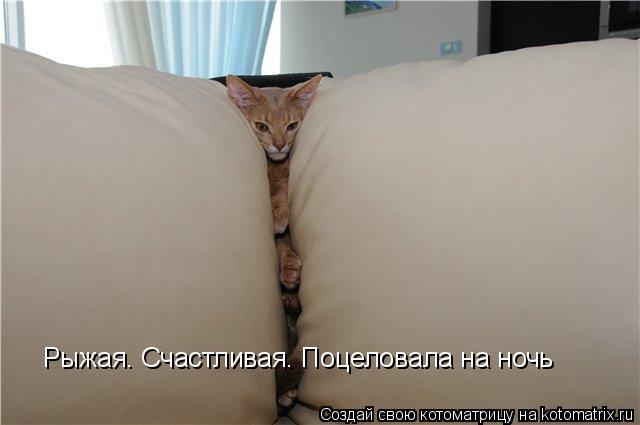 Котоматрица: Рыжая. Счастливая. Поцеловала на ночь