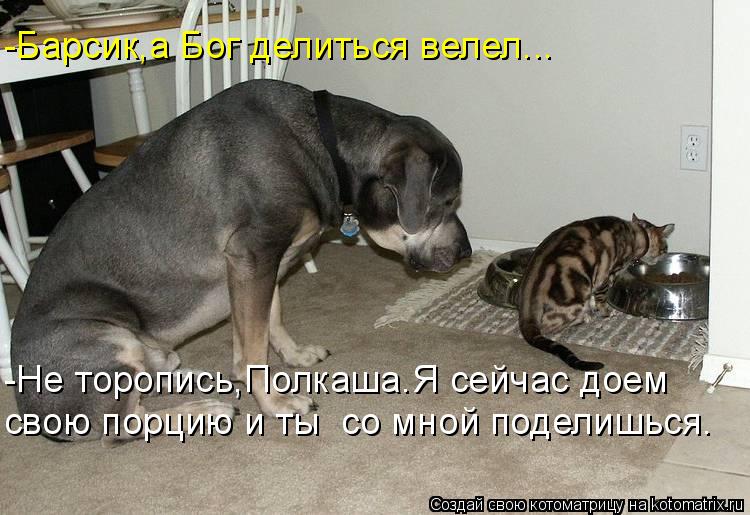 Котоматрица: -Барсик,а Бог делиться велел... -Не торопись,Полкаша.Я сейчас доем  свою порцию и ты  со мной поделишься.