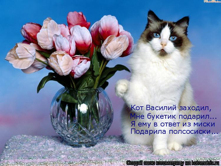 Котоматрица: Кот Василий заходил, Мне букетик подарил... Я ему в ответ из миски Подарила полсосиски...
