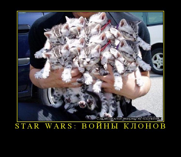Star Wars: войны клонов ... Котоматрица: Star Wars: войны клонов