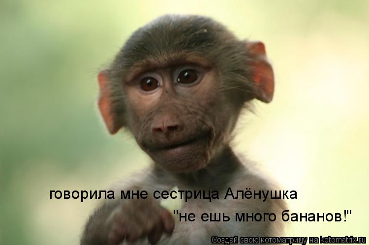 Котоматрица: говорила мне сестрица Алёнушка  "не ешь много бананов!"