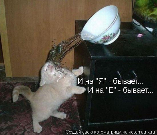 Котоматрица: И на "Я" - бывает... И на "Е" - бывает... . .