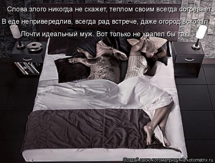 Котоматрица: Слова злого никогда не скажет, теплом своим всегда согревает В еде непривередлив, всегда рад встрече, даже огород вскопал. Почти идеальный 