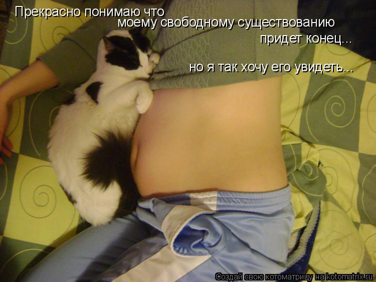Котоматрица: Прекрасно понимаю что моему свободному существованию придет конец... но я так хочу его увидеть...