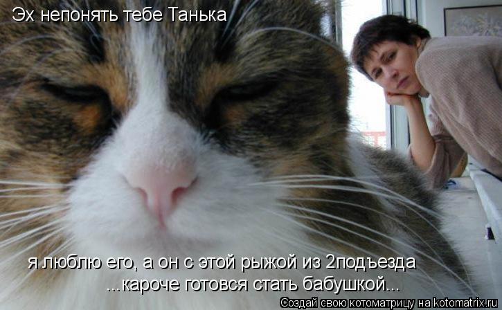 Котоматрица: Эх непонять тебе Танька я люблю его, а он с этой рыжой из 2подъезда ...кароче готовся стать бабушкой...